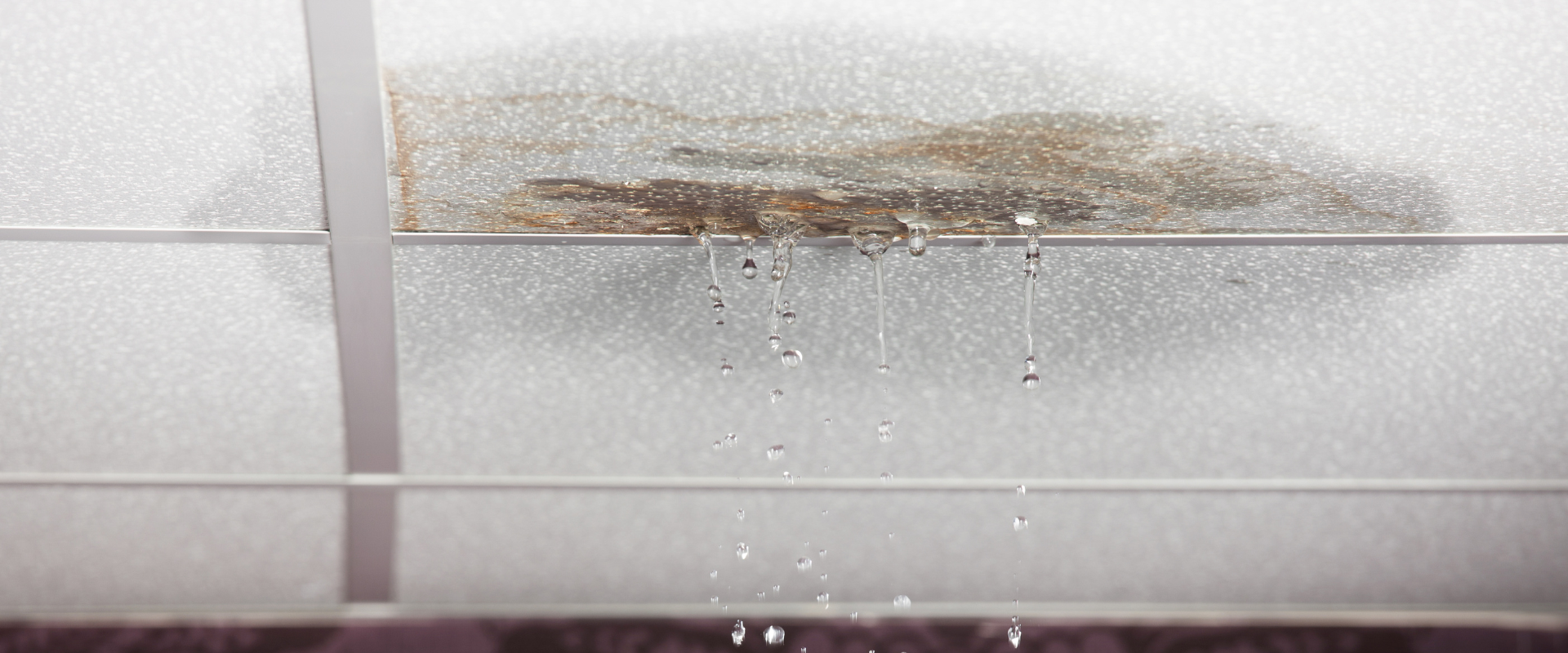 water leaking from ceiling to show plumbing leak detection service